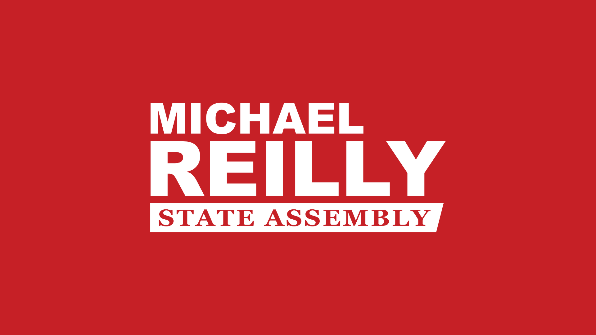 Statement from Assemblymember Reilly after having been briefed by NYC ...